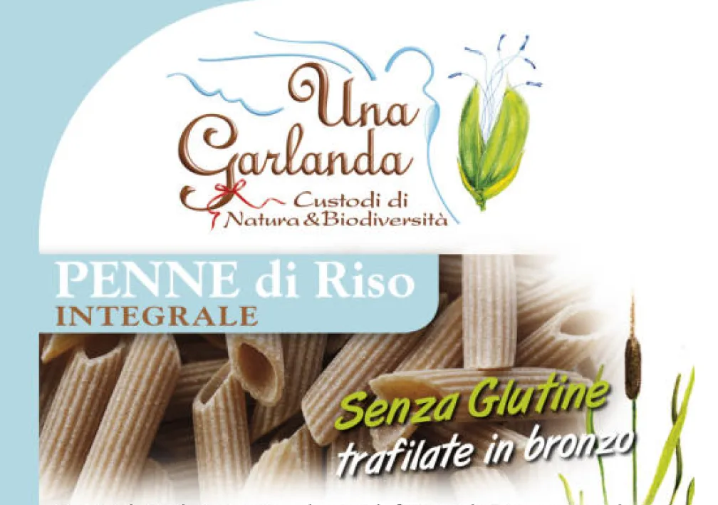PENNE RIZ 450GR BIO
