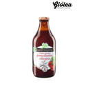 SALSAPRONTA TOMATES CERISES  330gr BIO