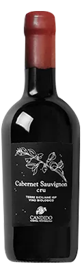 CABERNET CRU BIO 2021 BT 0,75L
